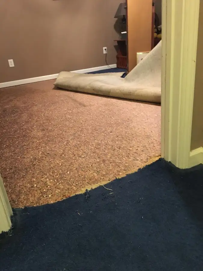 Carpet pad removal revealing water damage during Water Mitigation Services in Aubrey