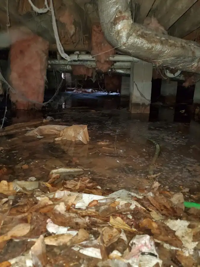 Crawl space flood assessment for Leak Detection & Repair in Aubrey